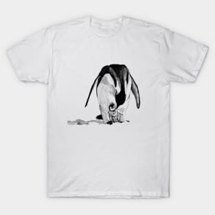 Emperor Penguin Ink Drawing T-Shirt